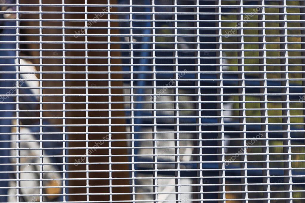 Industrial steel platform with grating